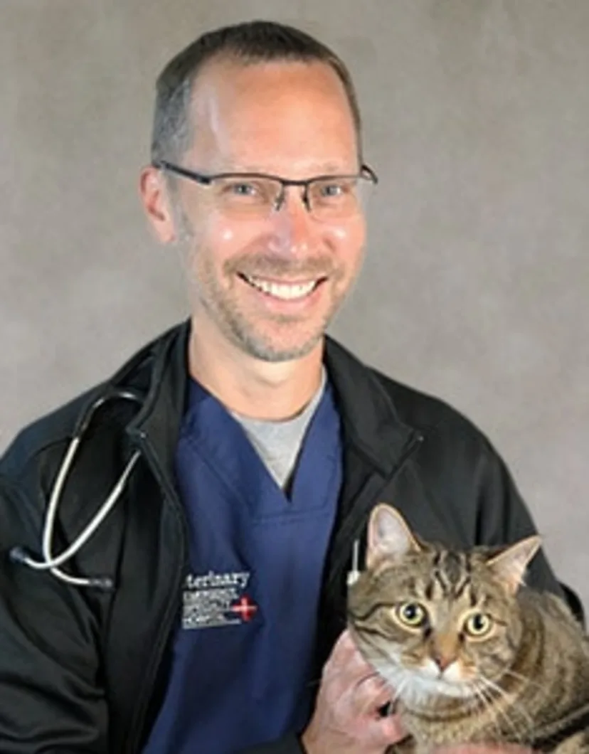 Dr. Scott Trapp smiling in front of a grey backdrop holding a brown cat